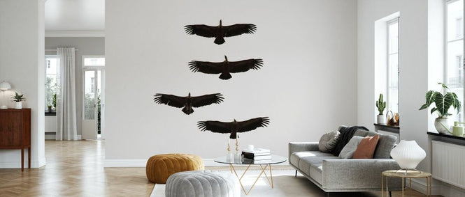 PHOTOWALL / Four Griffon Vultures in Flight (e332050)