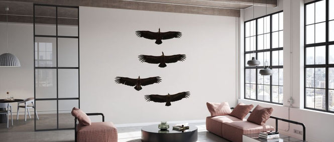 PHOTOWALL / Four Griffon Vultures in Flight (e332050)