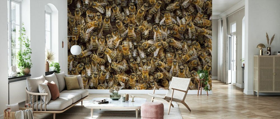 PHOTOWALL / Worker European Honey Bees (e332052)