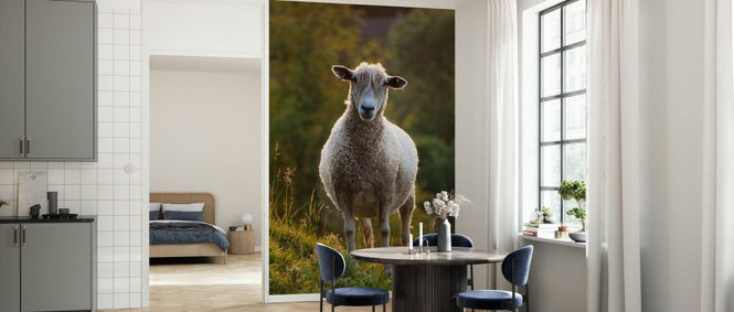 PHOTOWALL / Cotswolds Lion Sheep (e332054)