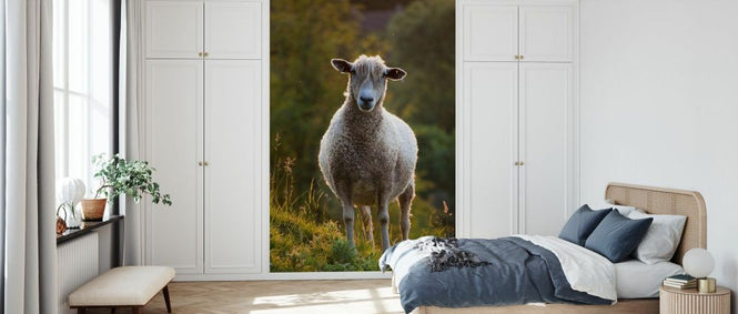 PHOTOWALL / Cotswolds Lion Sheep (e332054)