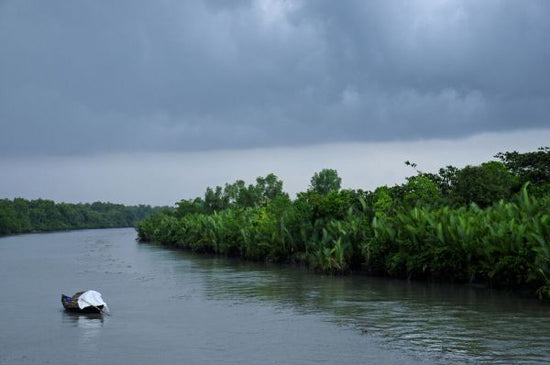 PHOTOWALL / Boat in the Sundarbans National Park (e332058)
