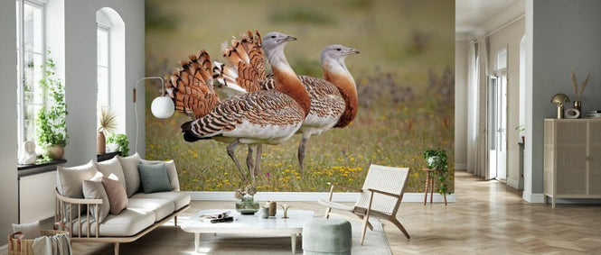 PHOTOWALL / Great Bustards (e332061)