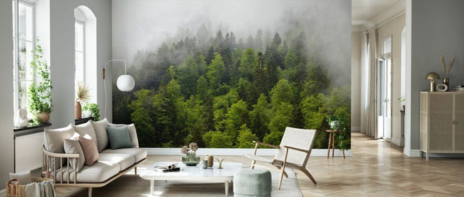 PHOTOWALL / Forest in the Mist (e332062)
