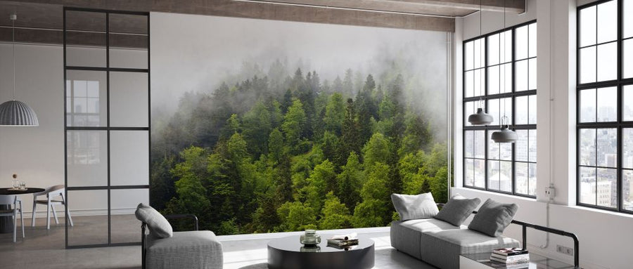 PHOTOWALL / Forest in the Mist (e332062)