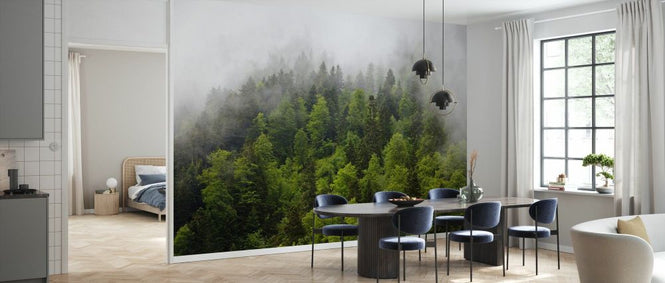 PHOTOWALL / Forest in the Mist (e332062)