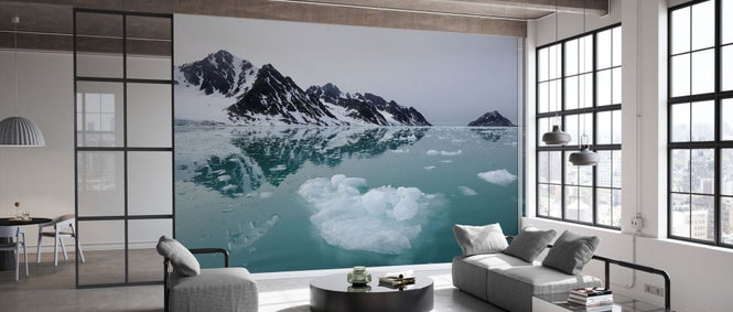 PHOTOWALL / Coastal Ice (e332066)