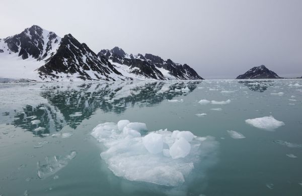 PHOTOWALL / Coastal Ice (e332066)