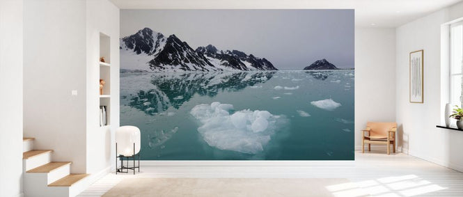 PHOTOWALL / Coastal Ice (e332066)