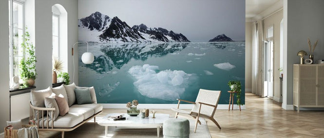 PHOTOWALL / Coastal Ice (e332066)