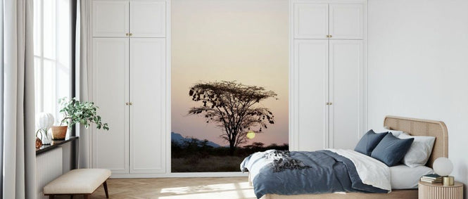 PHOTOWALL / Weavers Nests on an Acacia Tree (e332068)