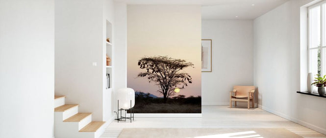 PHOTOWALL / Weavers Nests on an Acacia Tree (e332068)