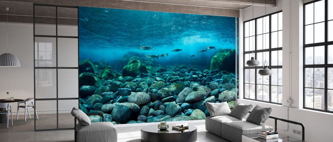 PHOTOWALL / Shoal of Golden Grey Mullet (e332076)