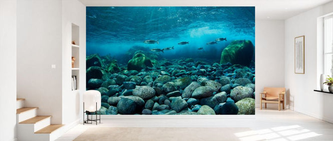 PHOTOWALL / Shoal of Golden Grey Mullet (e332076)
