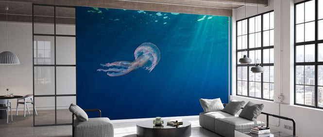 PHOTOWALL / Small Jellyfish Swimming (e332077)