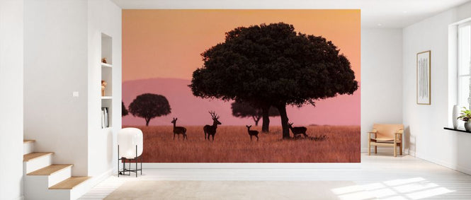 PHOTOWALL / Small Group of Red Deer (e332080)