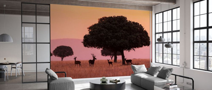 PHOTOWALL / Small Group of Red Deer (e332080)