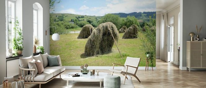 PHOTOWALL / Hay Propped up to Dry (e332081)