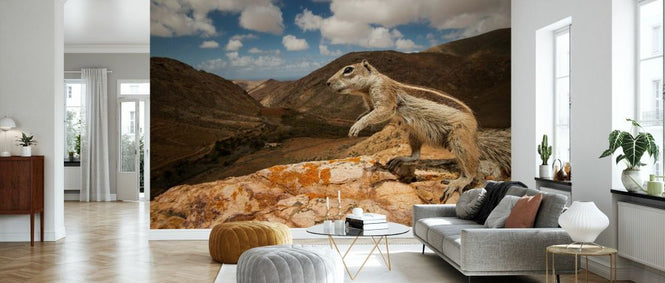 PHOTOWALL / Barbary Ground Squirrel (e332086)