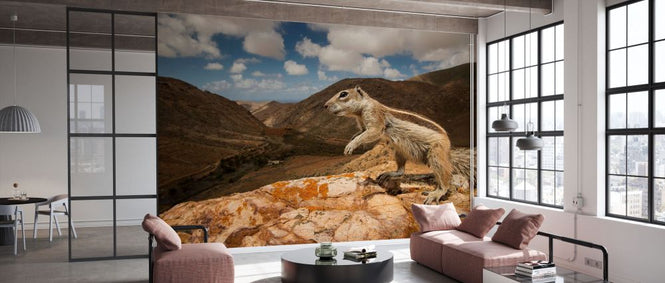 PHOTOWALL / Barbary Ground Squirrel (e332086)
