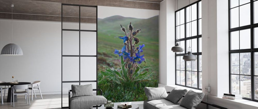 PHOTOWALL / Blue Poppy in Misty Landscape (e332094)