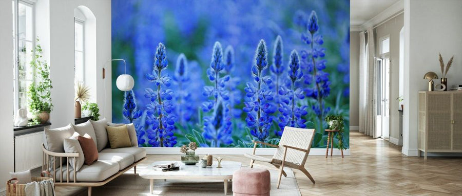 PHOTOWALL / Blue Lupin (e332101)