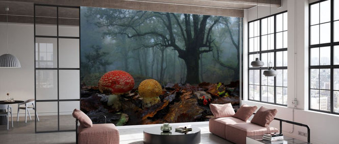 PHOTOWALL / Fly Agaric in Foggy Forest (e332102)