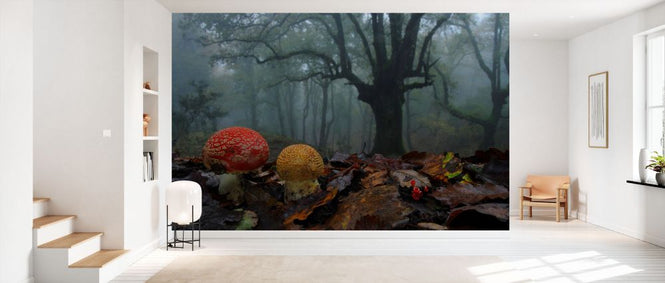 PHOTOWALL / Fly Agaric in Foggy Forest (e332102)