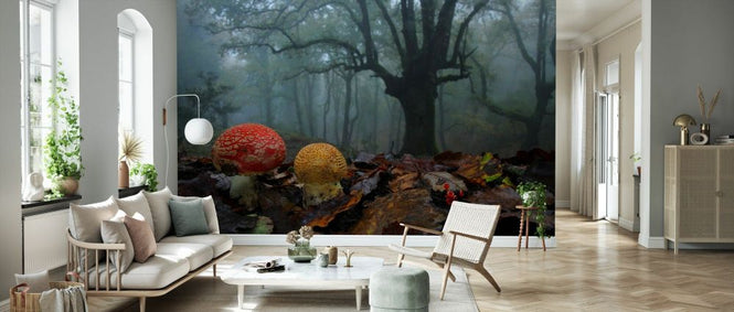 PHOTOWALL / Fly Agaric in Foggy Forest (e332102)