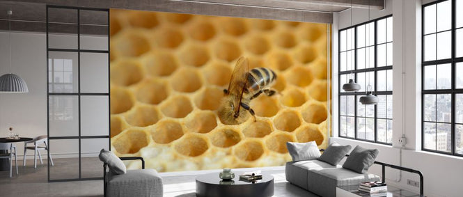 PHOTOWALL / European Worker Honey Bee (e332104)