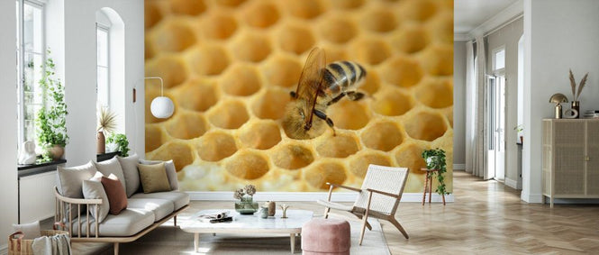 PHOTOWALL / European Worker Honey Bee (e332104)
