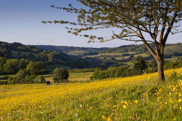 PHOTOWALL / Baxters Fields in the Slad Valley (e332113)