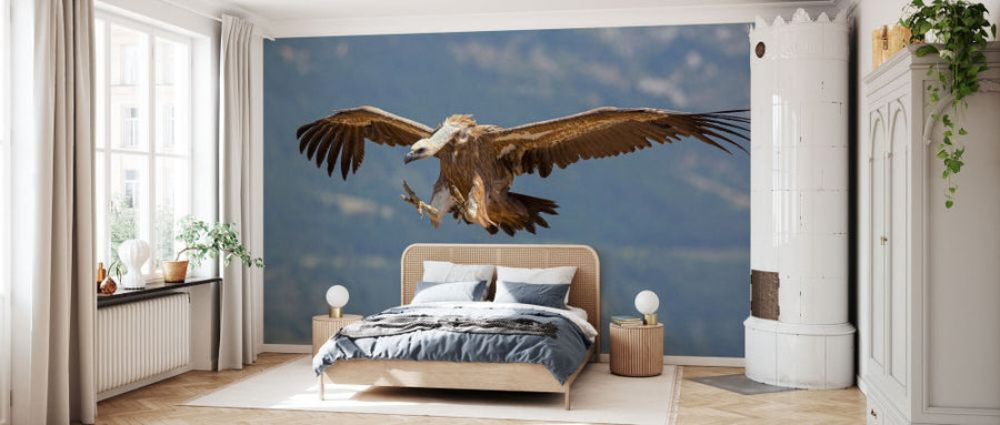 PHOTOWALL / Griffon Vulture Coming in to Land (e332116)