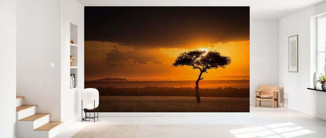 PHOTOWALL / Sunset Over Savanna with a Lone Tree II (e332118)