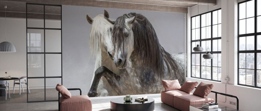 PHOTOWALL / Andalusian Horse (e332119)