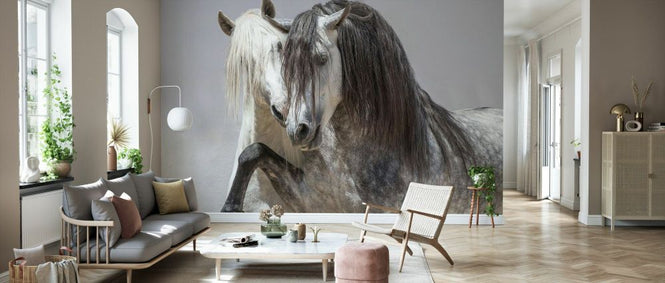 PHOTOWALL / Andalusian Horse (e332119)