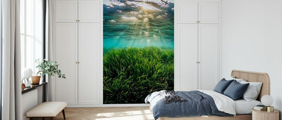 PHOTOWALL / Neptune Seagrass Bed II (e332125)