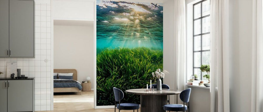 PHOTOWALL / Neptune Seagrass Bed II (e332125)