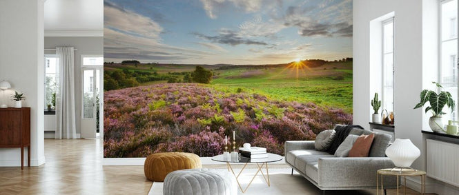 PHOTOWALL / Heather in Bloom (e331916)