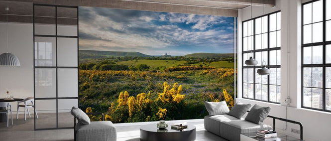 PHOTOWALL / Bluebells and Gorse on Corfe Common (e331920)