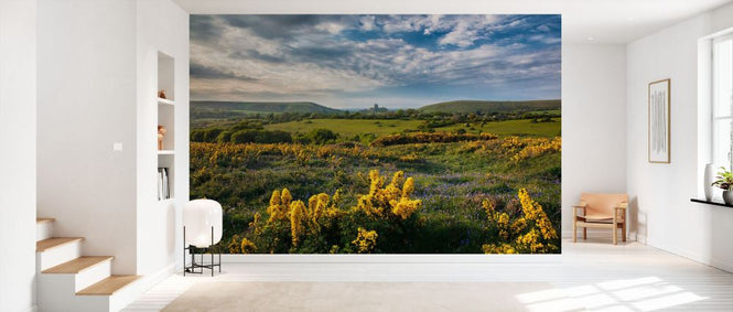 PHOTOWALL / Bluebells and Gorse on Corfe Common (e331920)