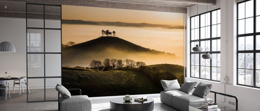 PHOTOWALL / Colmers Hill in Mist (e331923)