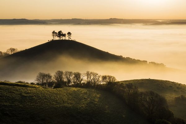 PHOTOWALL / Colmers Hill in Mist (e331923)