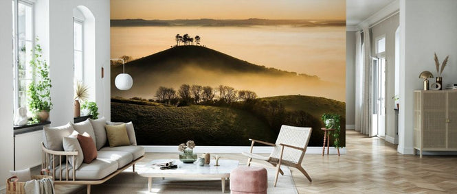 PHOTOWALL / Colmers Hill in Mist (e331923)