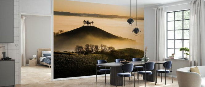PHOTOWALL / Colmers Hill in Mist (e331923)