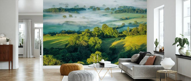 PHOTOWALL / Marshwood Vale in Morning Mist (e331928)