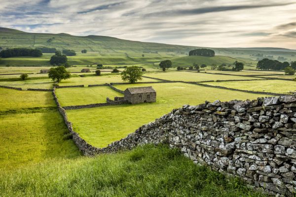 PHOTOWALL / Drystone walls and Barns (e331931)