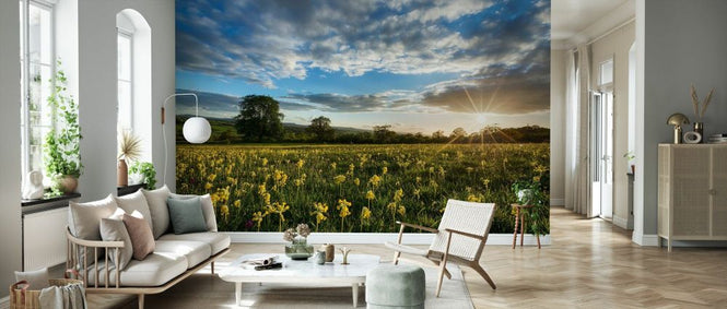 PHOTOWALL / Cowslips in Bloom (e331933)