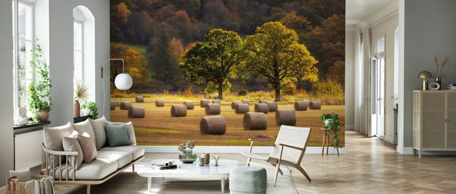 PHOTOWALL / Harvest Scene with Round Straw Bales (e331948)