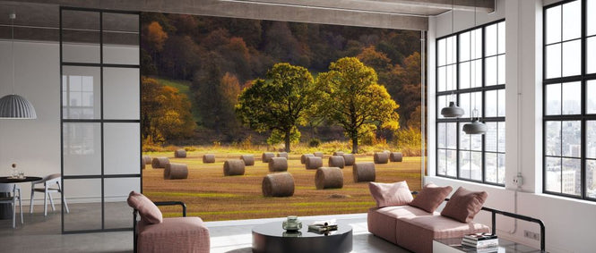 PHOTOWALL / Harvest Scene with Round Straw Bales (e331948)